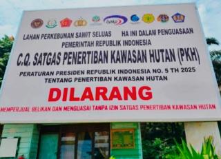 Ngeri! Satgas PKH Periksa Puluhan Pengusaha Kebun Sawit Dalam Kawasan Hutan di Kejati Riau, Ini yang Ditelisik