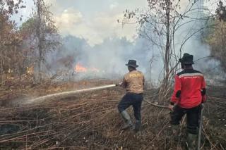 Bengkalis dan Dumai Resmi Berstatus Siaga Darurat Karhutla