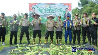 Polres Kepulauan Meranti Panen Ratusan Kilo Jagung untuk Dukung Upaya Ketahanan Pangan