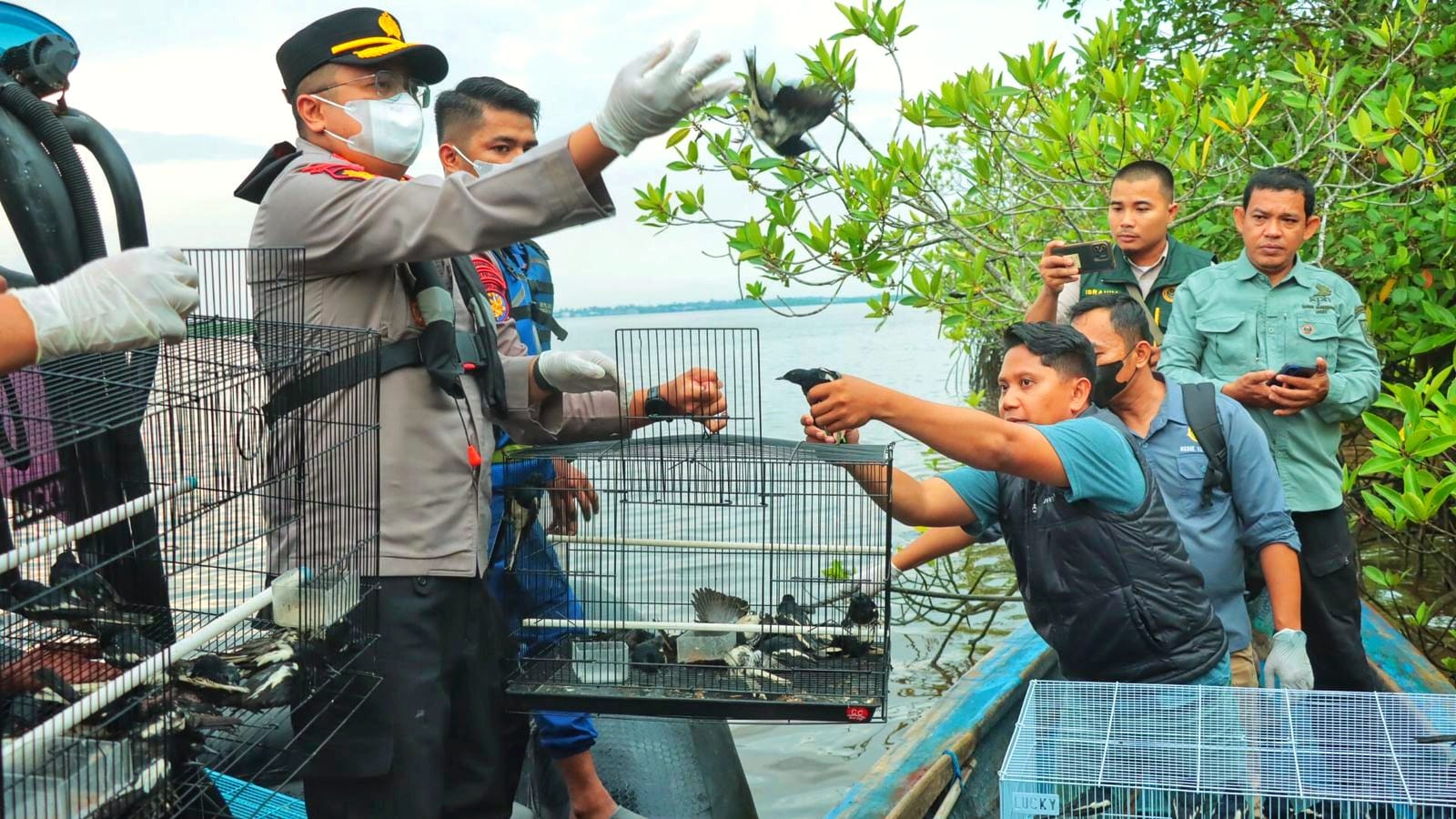 Menyelamatkan Kicau Alam, Polres Kepulauan Meranti Lepaskan Ribuan Burung Kacer Hasil Selundupan
