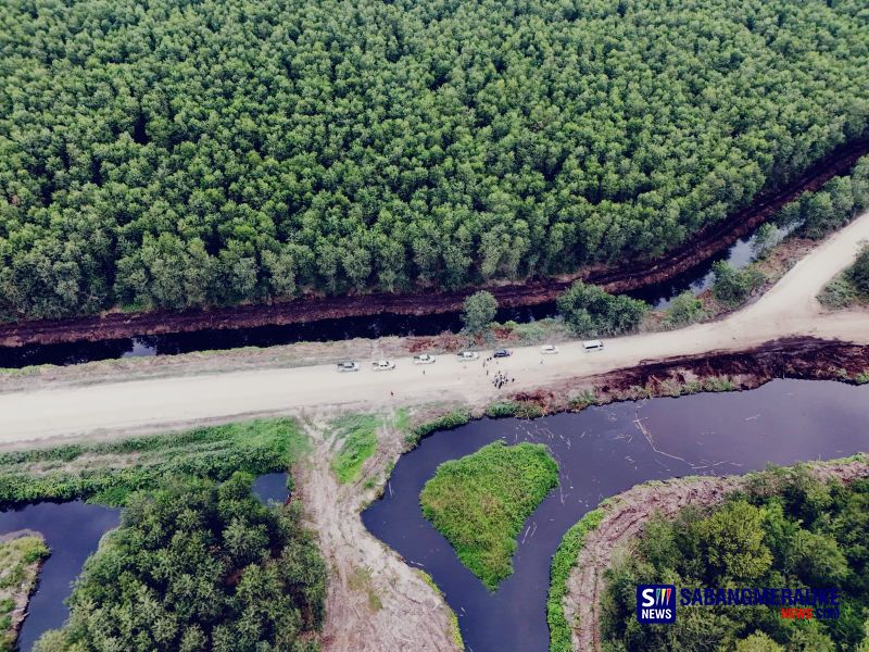 Greenpeace Rilis 194 Perusahaan Bayangan Royal Golden Eagle, Disebut Mengancam Hutan Indonesia
