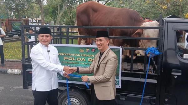 Polda Riau Distribusikan 191 Ekor Hewan Kurban ke Masyarakat