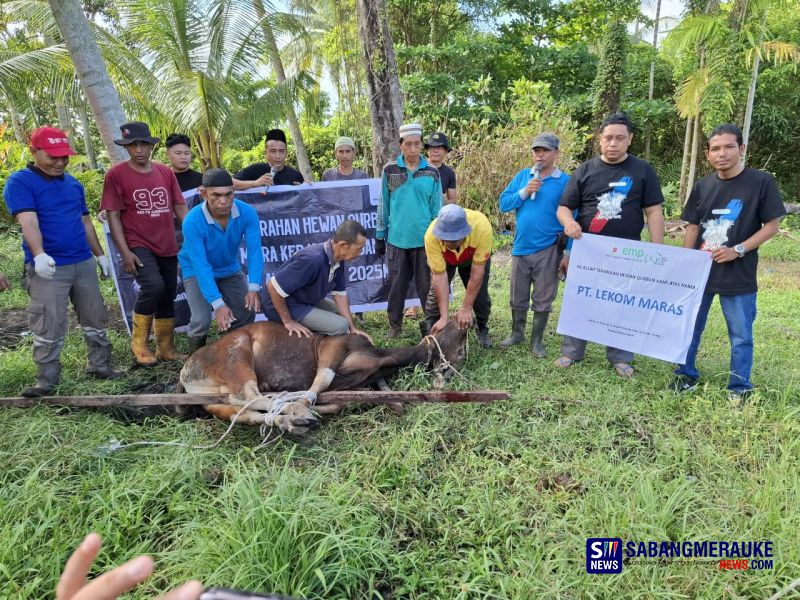 Tebar Kebaikan Lewat Hewan Kurban, PT ITA Bangun Harmoni dan Pemberdayaan Masyarakat di Kepulauan Meranti