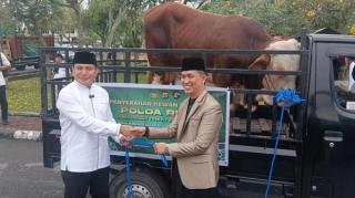 Polda Riau Distribusikan 191 Ekor Hewan Kurban ke Masyarakat