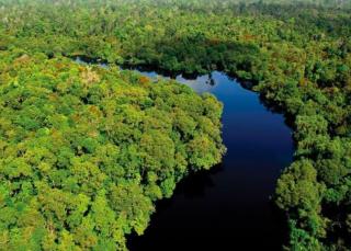Jadi Target Utama Satgas PKH, Ini Perbedaan Taman Nasional, Suaka Margasatwa dan Cagar Alam