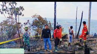 40 Hektare Lahan Hutan Lindung Dibakar, Petugas Kesulitan Padamkan Api