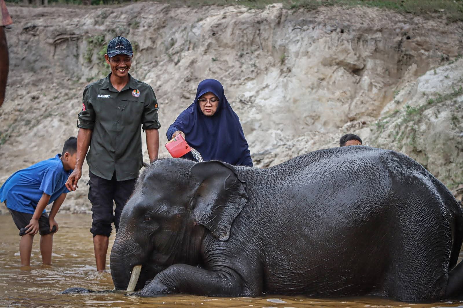 Malam Mingguan: Bupati Afni Ngeronda Bareng Gajah Jinak!