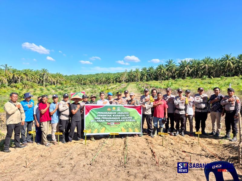 Polsek Simpang Kanan Tanam Jagung Serentak Kuartal III Program Ketahanan Pangan Nasional
