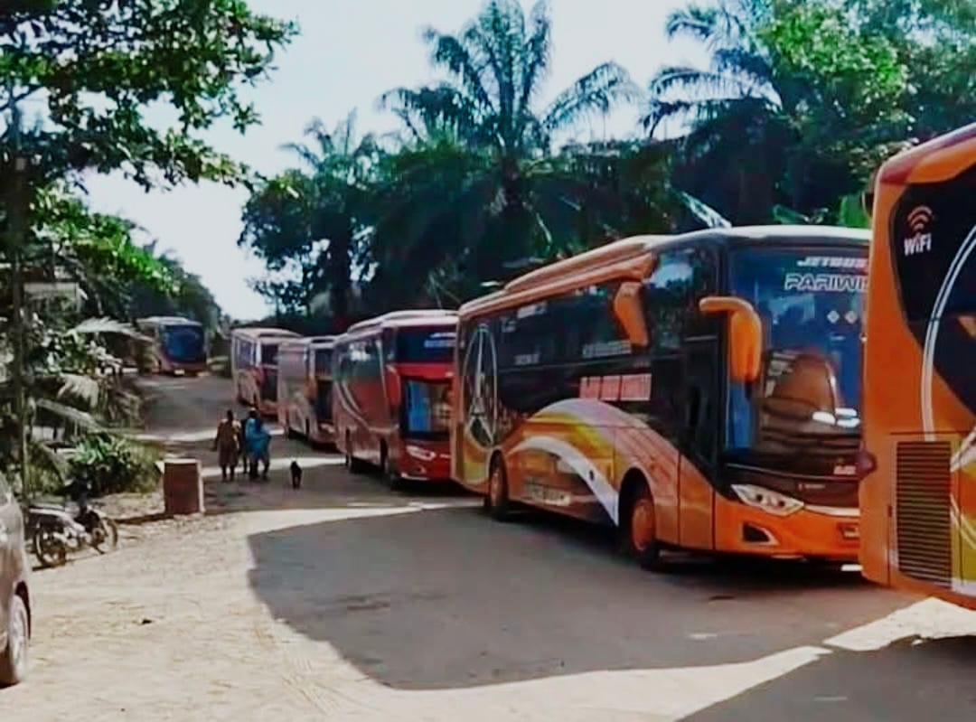 Puluhan Bus Angkut Warga TNTN ke Jakarta, Rencanakan Aksi Unjuk Rasa ke Istana Negara
