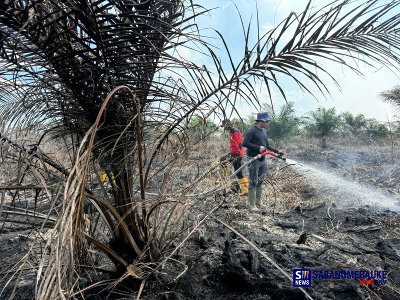 Tim Gabungan Berjibaku Padamkan Titik Api, Camat Bangko Pusako Ingatkan Petani Jangan Bakar Sembarangan