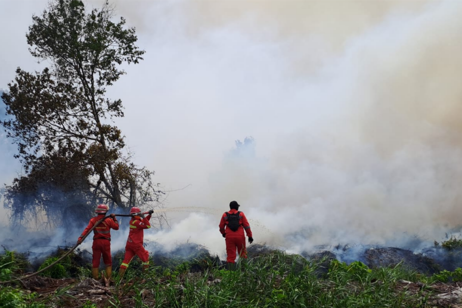 BMKG: Riau Berpotensi Hujan, Hotspot Masih Terdeteksi 156 Titik