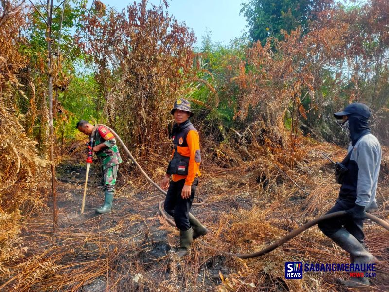 Delapan Hari Melawan Api: Perjuangan Tanpa Lelah Tim Gabungan Padamkan Karhutla Seluas 110 Hektare di Tanjung Peranap