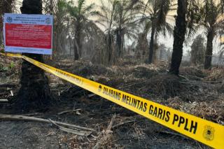 Ketua APHI Riau: Lahan Disegel KLH di Rohil Bukan Lagi Konsesi PT SRL Sejak 2022