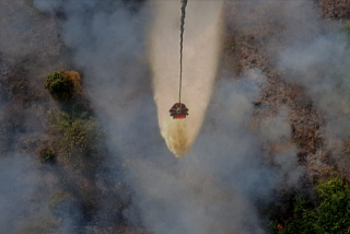 Water Bombing Jadi Senjata Andalan Padamkan Karhutla Gambut di Riau