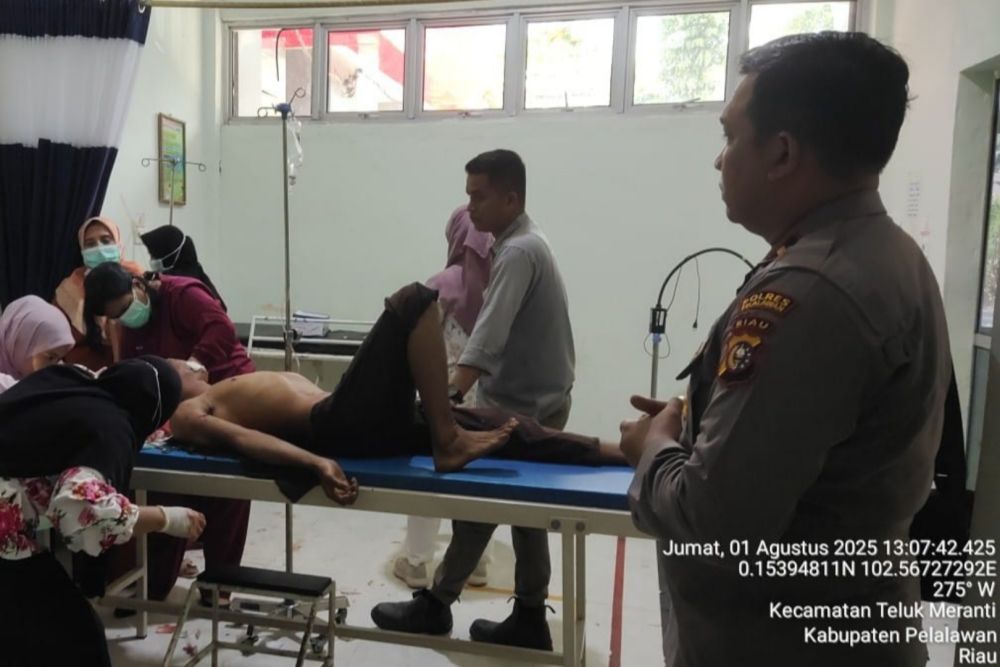 BBKSDA Riau Turunkan Tim Mitigasi ke Lokasi Serangan Harimau di Pelalawan