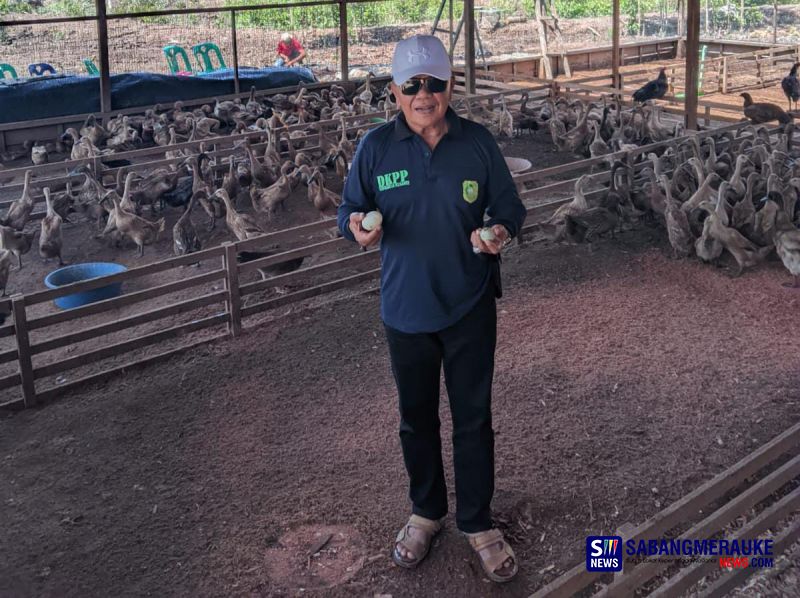Bupati Kepulauan Meranti Asmar Tekuni Usaha Ternak di Rumah: Kini Dari Kambing hingga Telur Bebek Panen Hasil