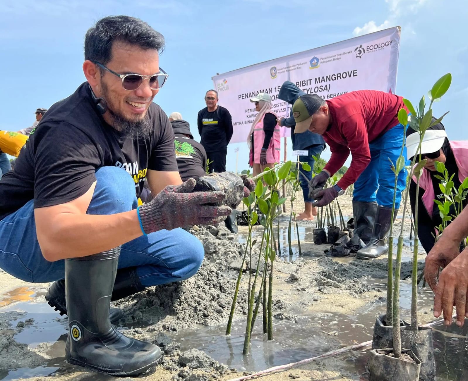 PLN Pulihkan Ekosistem Mangrove di Desa Berakit Lewat Program TJSL