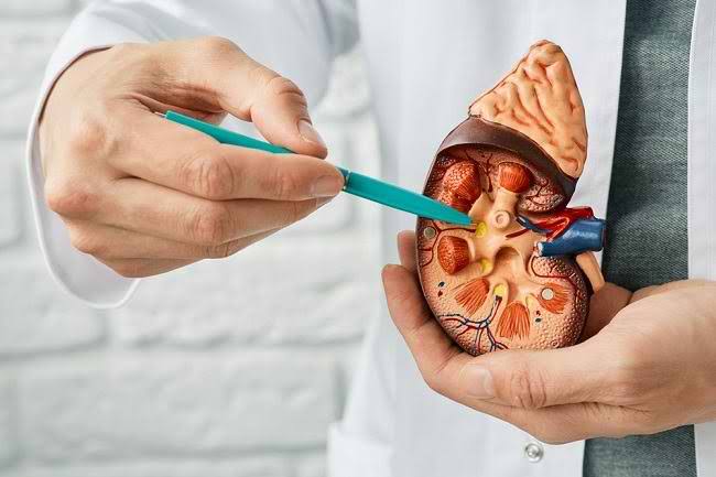 5 Gejala Awal Kanker Ginjal yang Tak Disadari, Bisa Terlihat dari Urine 