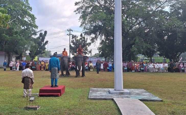 Gajah Sumatera Warnai Upacara HUT ke-80 RI di BBKSDA Riau