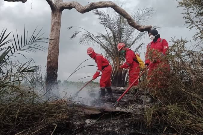 Karhutla di Riau Nihil, Daerah Memasuki Musim Peralihan Hujan