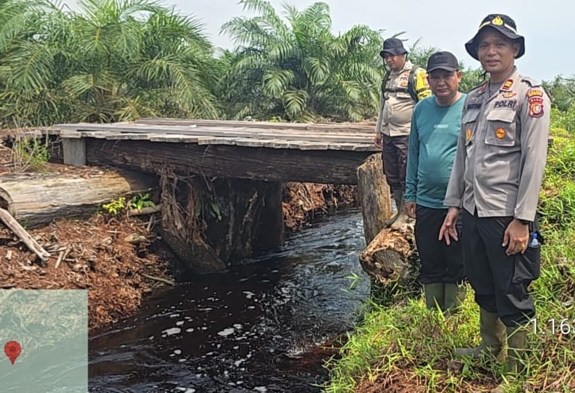 Viral Informasi Pembalakan Liar Dekat Cagar Biosfer Bengkalis, Ini Hasil Pengecekan Polisi