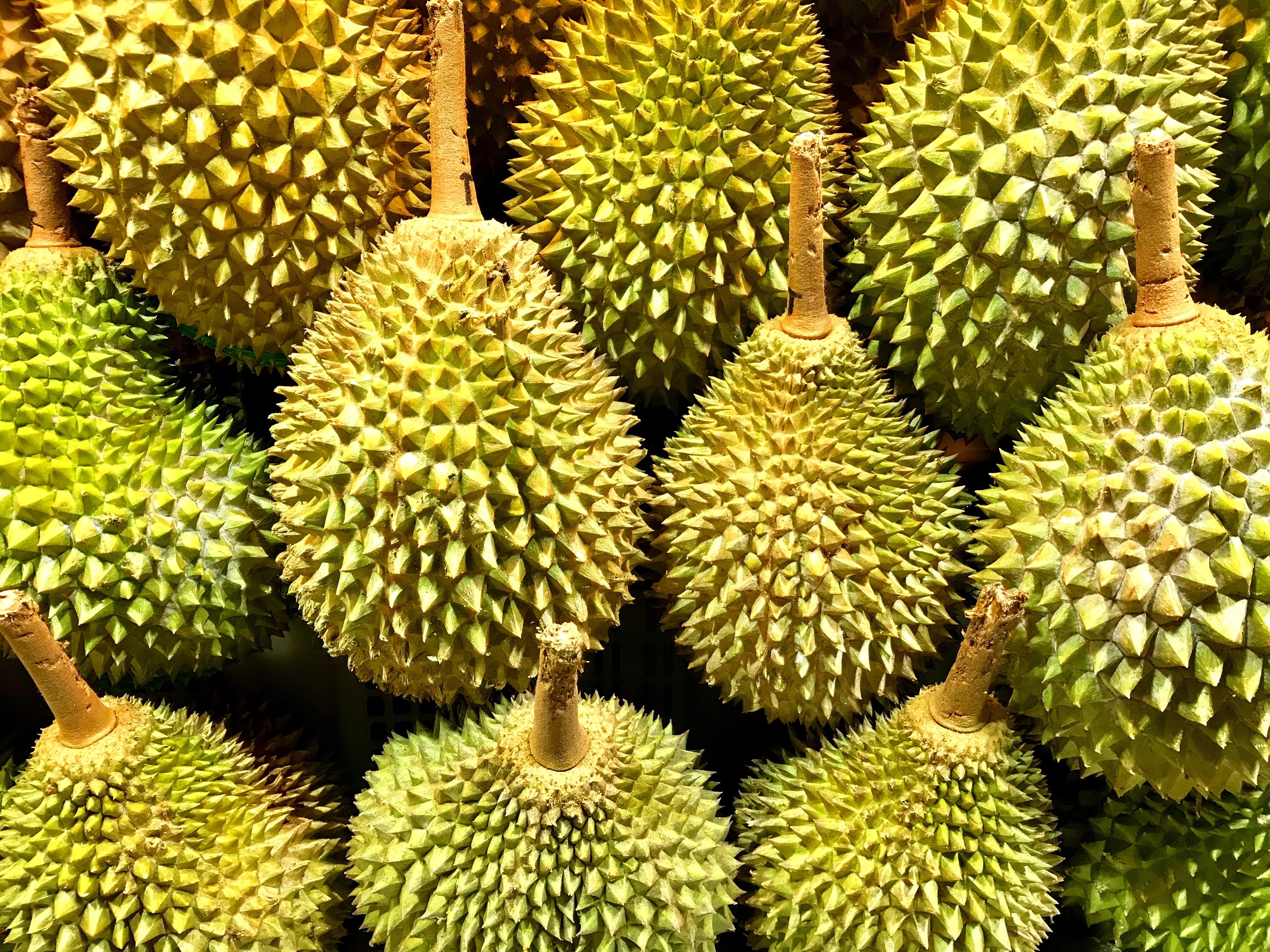 Riau Jadi Gerbang Penyelundupan Durian Ilegal Malaysia, 10 Ton Setiap Hari