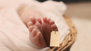 Usai Kasus DBD Renggut 2 Nyawa Anak di Kepulauan Meranti, Kini 2 Balita Meninggal Dunia Terserang Diare