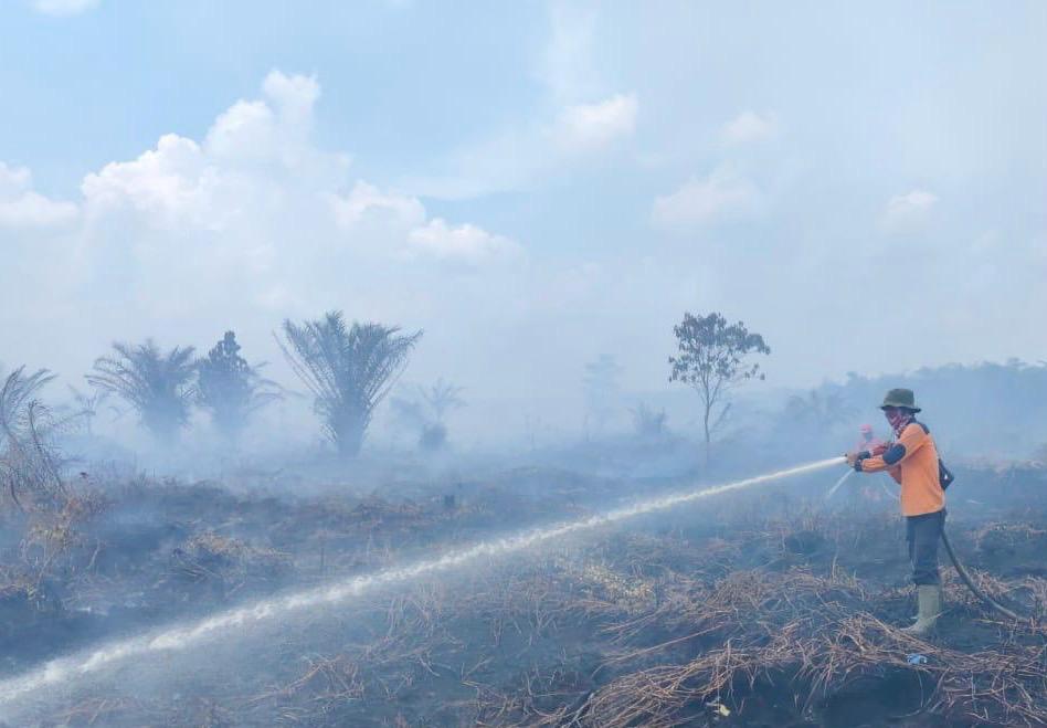 Karhutla di Riau Berkurang Drastis, Pemadaman Kini Fokus di Tiga Kabupaten  
