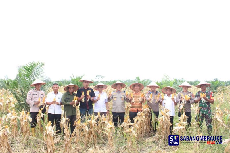 Kapolres Rohil Pimpin Panen Raya Jagung Serentak Kuartal III di Pekaitan, Dukung Program Ketahanan Pangan Nasional
