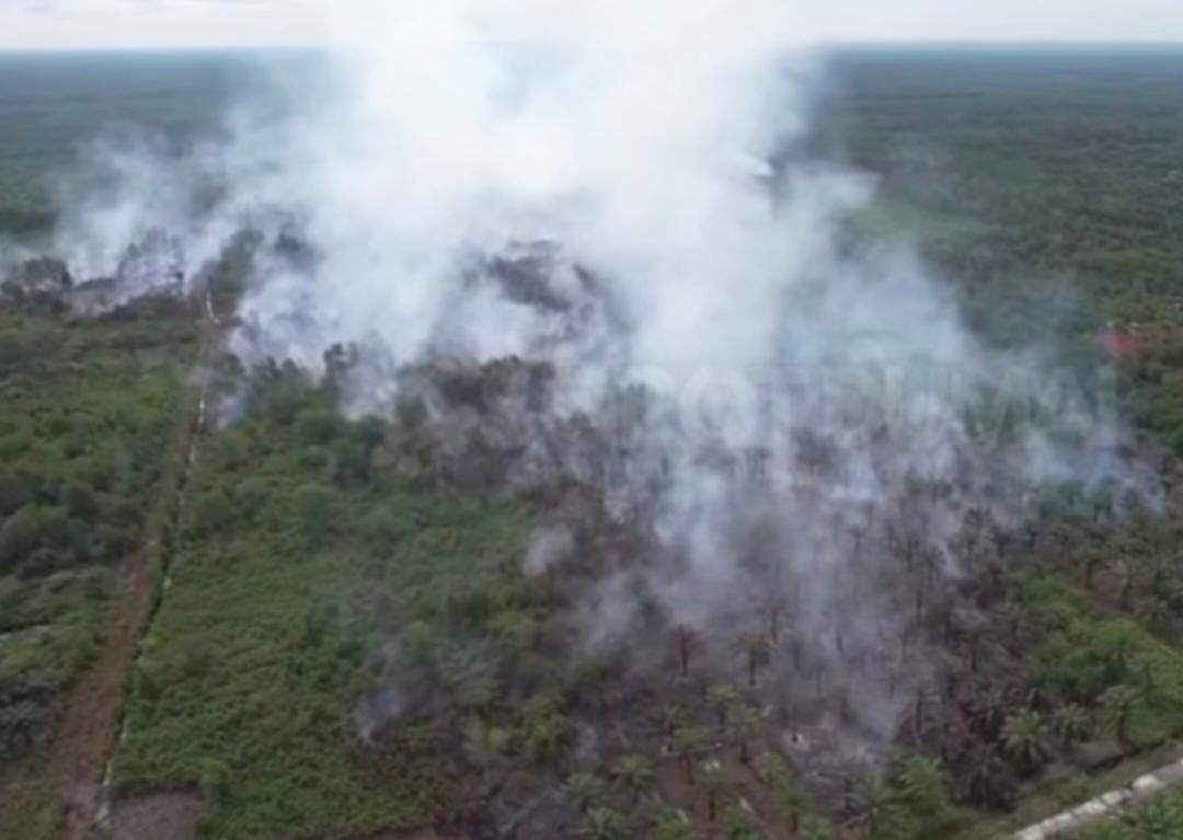 Karhutla di Tanjung Palas Dumai Makin Meluas, Butuh Penambahan Personel Pemadaman Api