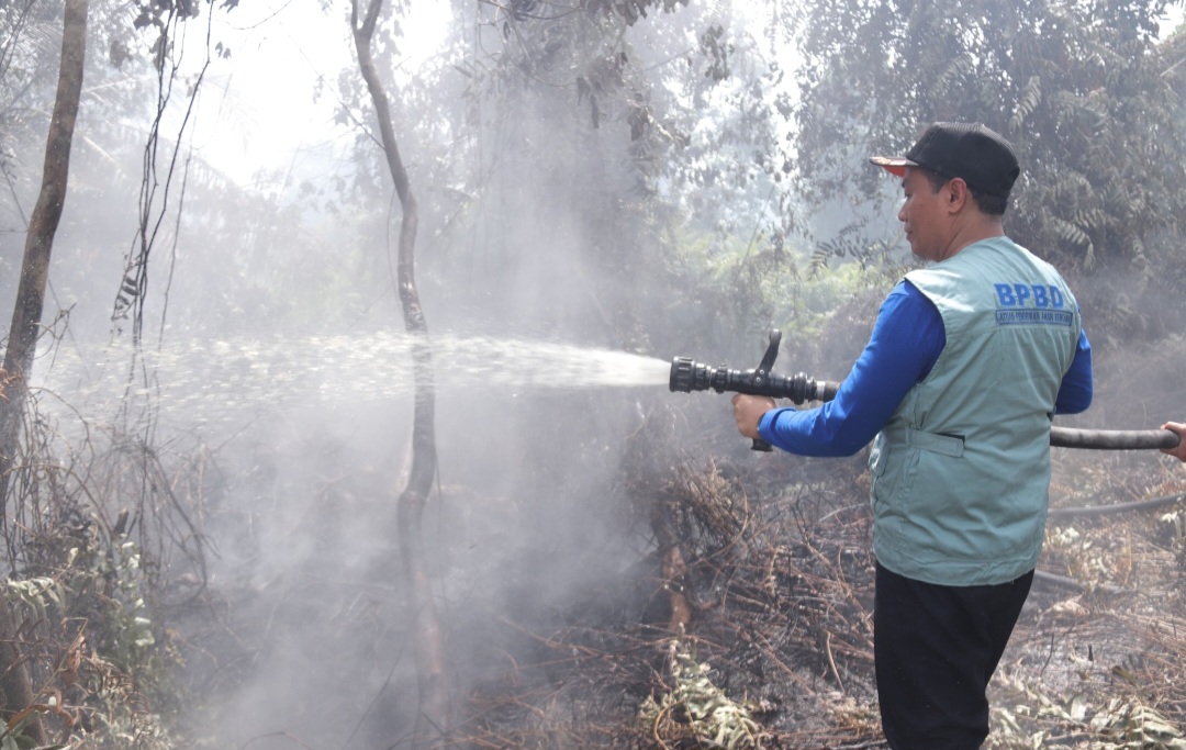 Wawako Markarius Turun Tangan Langsung Padamkan Api, di 4 Titik Lahan Kecamatan Payung Sekaki