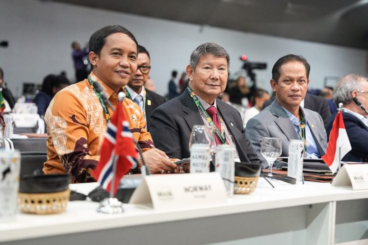 Indonesia Dinilai Kena Jebakan Finansial karena Jual Karbon Terlalu Murah