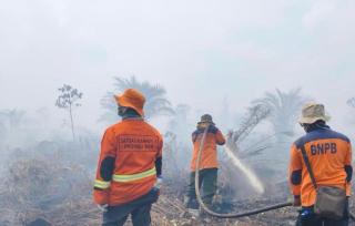 BPBD Riau Klaim Karhutla Tak Terjadi di Lahan Gambut