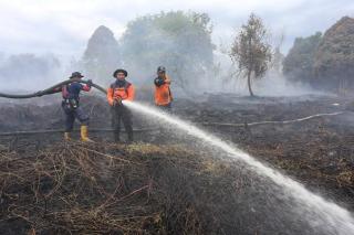 Gawat! Karhutla di Riau Masih Marak Terjadi, Tapi Seluruh Helikopter Water Bombing Ditarik Pemerintah Pusat