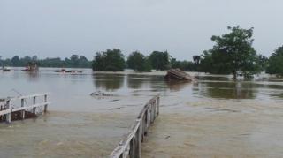 70 Persen Wilayah Kota Pekanbaru Berpotensi Banjir, Mitigasi Diperkuat!