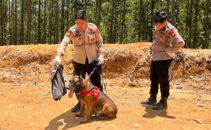 Reno Anjing Pelacak Polda Riau Gugur Saat Mencari Korban Banjir Sumbar, Dimakamkan Secara Kedinasan