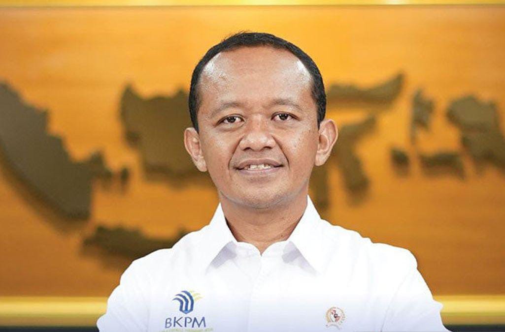 Cuan Lagi! Denda Tambang dalam Kawasan Hutan Resmi Ditetapkan, Batubara Ilegal Rp 354 Juta per Hektare