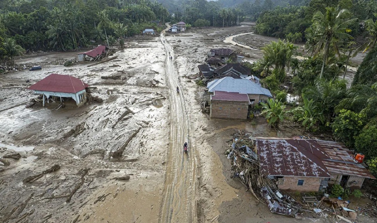 Ini Profil 4 Perusahaan yang Disegel KLH Terkait Banjir di Tapanuli