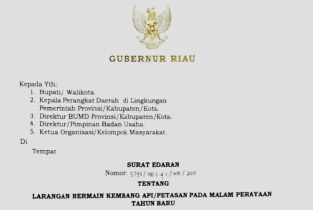 Jelang Malam Tahun Baru, Pemprov Riau Keluarkan Larangan Penggunaan Kembang Api dan Petasan