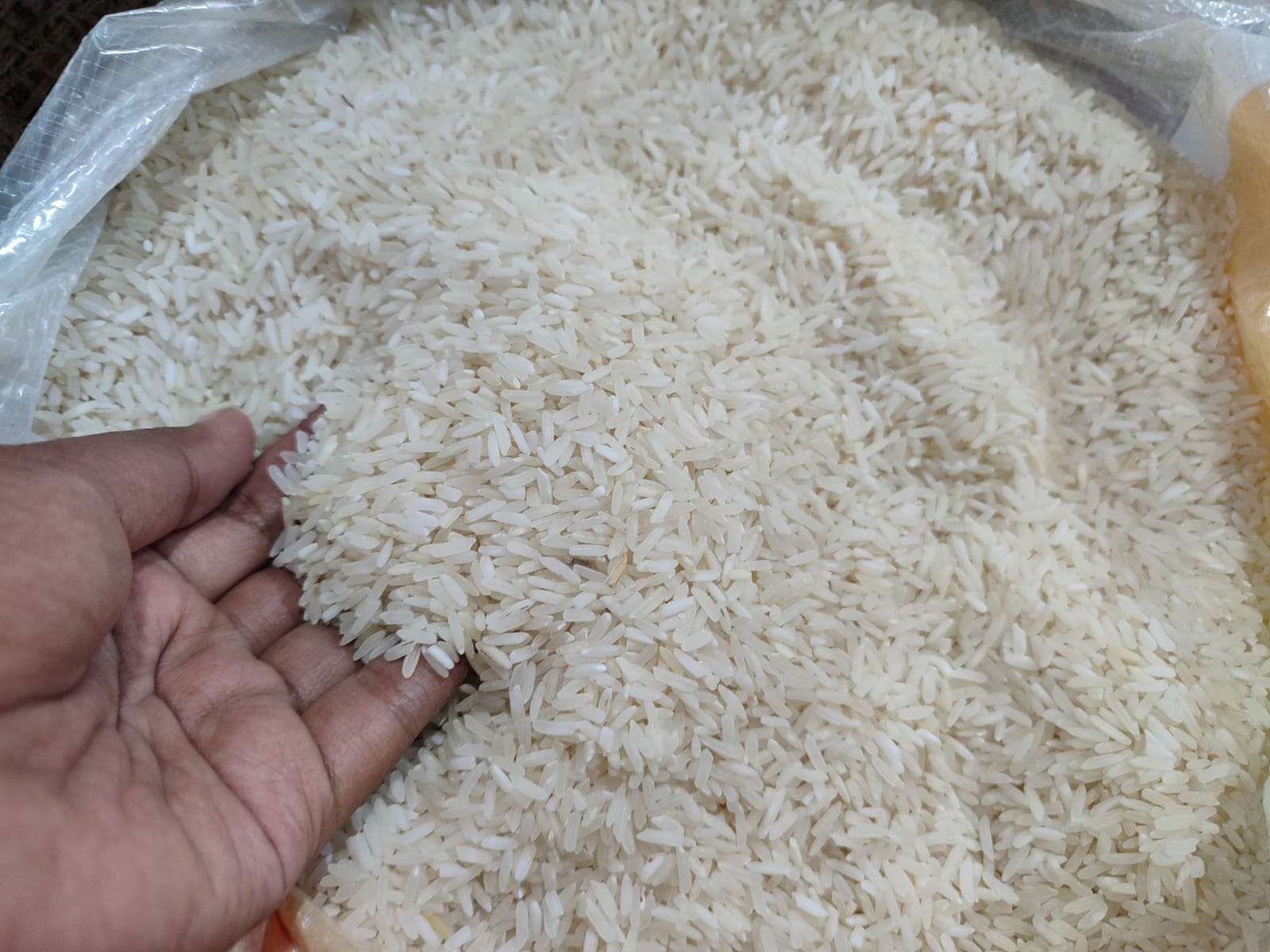 Beras Bertahan di Rp17 Ribu, Warga Pekanbaru Tak Perlu Khawatir