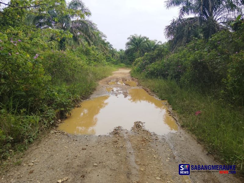 Jalan Menuju Lahan Pertanian di Rokan Hulu Rusak Parah, Biaya Transportasi Meningkat Dua Kali Lipat 