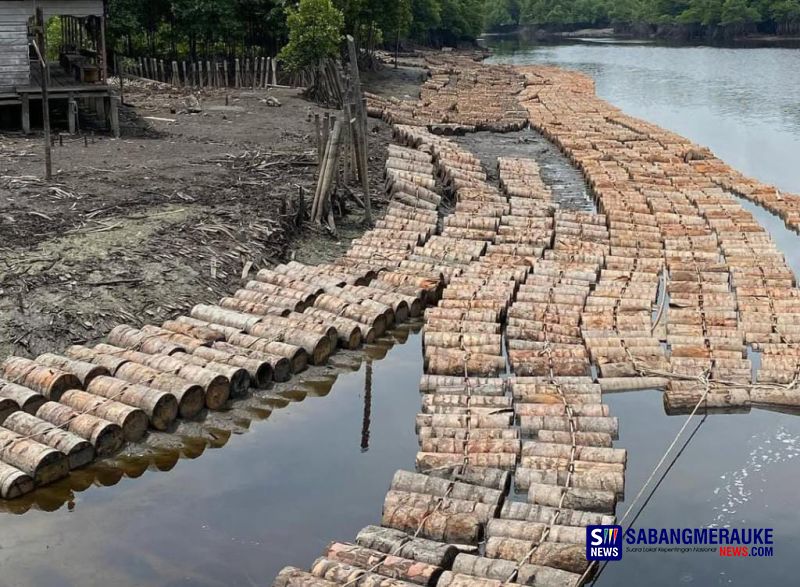 Sagu Terbaik Dunia yang Lepas dari Rumahnya: Ketika Kepulauan Meranti Gagal Merebut PSN Hilirisasi