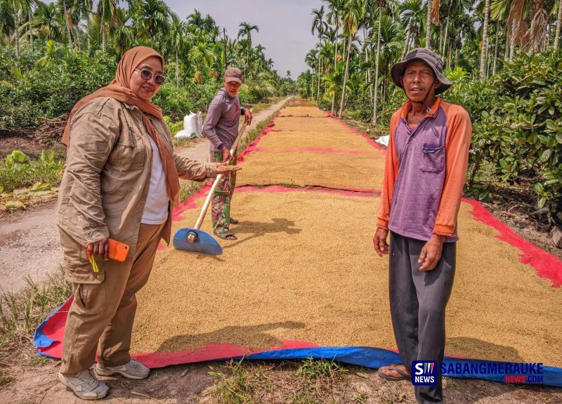Ketika Sawah Tak Lagi Menganggur: Brigade Pangan di Kepulauan Meranti Menyemai Harapan Swasembada
