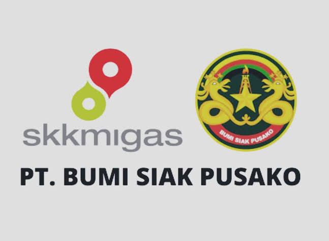 3 Kriteria Utama Calon Dirut yang Bisa 