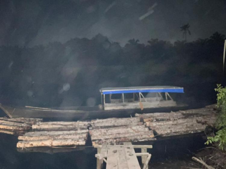 Polres Bengkalis Sikat Praktik Illegal Logging di Sungai Nibung, Tiga Pelaku Diringkus