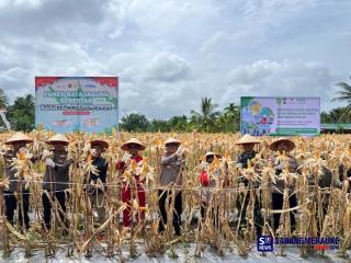 Dukung Swasembada Pangan 2026, Polres Meranti dan PT ITA Gelar Panen Raya Jagung Serentak di Merbau
