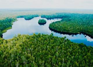 Kenapa Cuma Fokus TNTN, Belasan Kawasan Hutan Konservasi di Riau Telah Rusak Dirambah, Ini Daftarnya