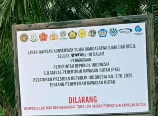 Gawat! Kelapa Sawit Agrinas dari Lahan Sitaan Hutan Perburuk Kredibilitas Indonesia dan Merusak Pasar