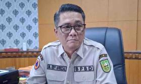 BPBD Sebut Titik Api Karhutla di Riau Mulai Padam Total