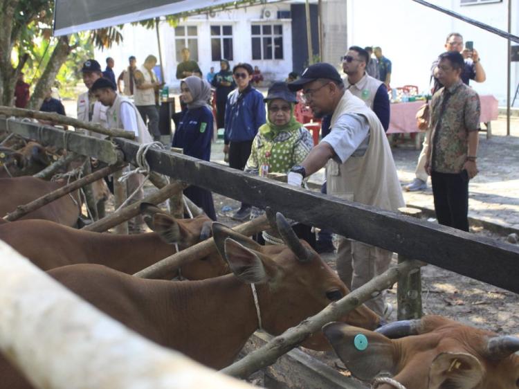 Cegah PMK, Pemprov Riau Dapat Bantuan 20 Ribu Dosis Vaksin